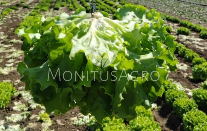 MONITUS AGRO d.o.o.