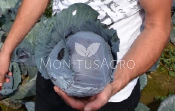MONITUS AGRO d.o.o.