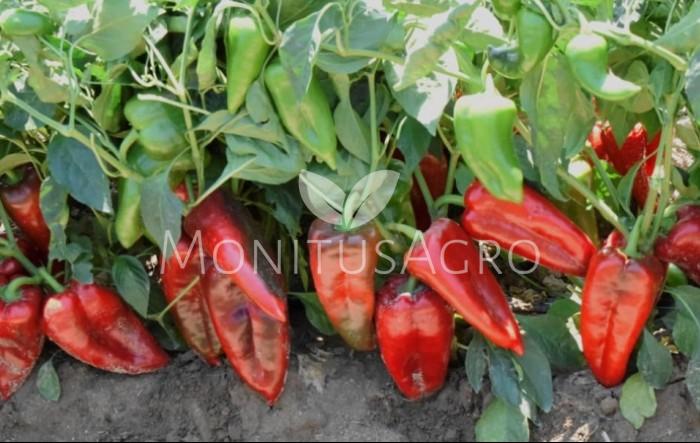 MONITUS AGRO d.o.o.