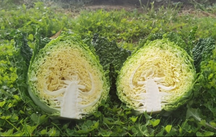 MONITUS AGRO d.o.o.