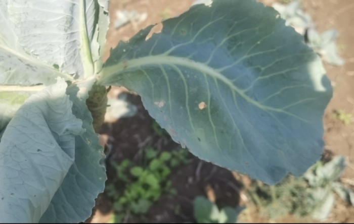 MONITUS AGRO d.o.o.