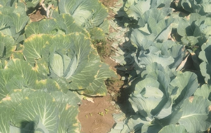MONITUS AGRO d.o.o.