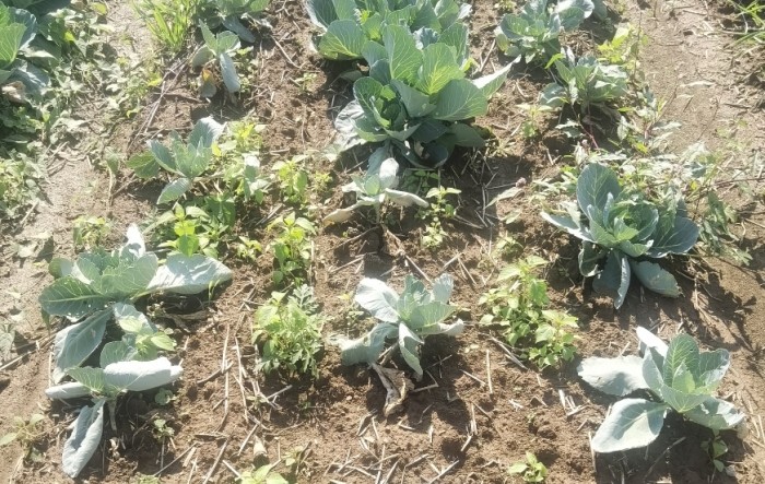 MONITUS AGRO d.o.o.