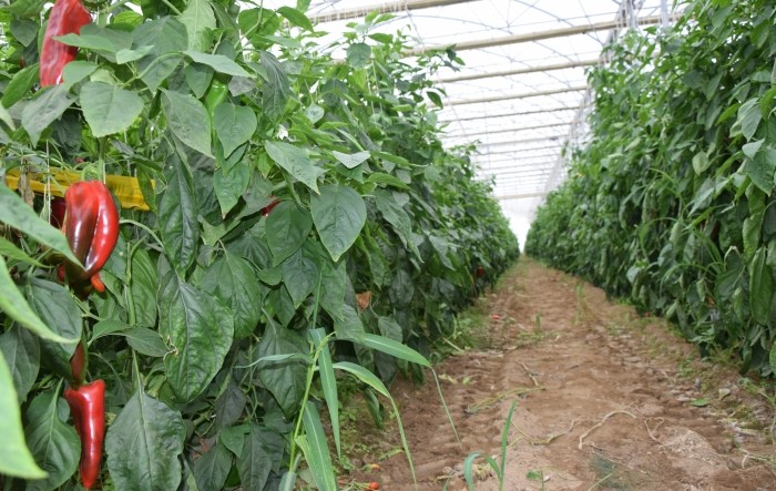 MONITUS AGRO d.o.o.