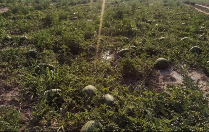 MONITUS AGRO d.o.o.