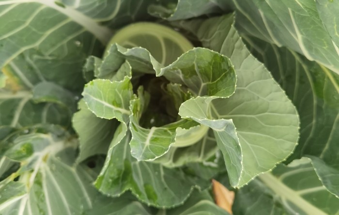 MONITUS AGRO d.o.o.