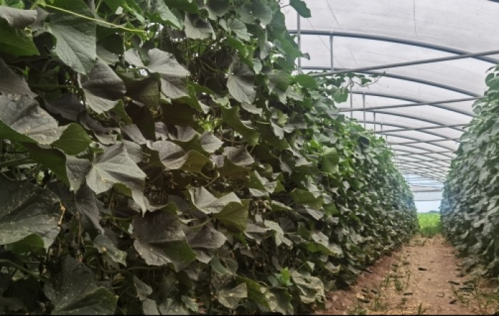 MONITUS AGRO d.o.o.