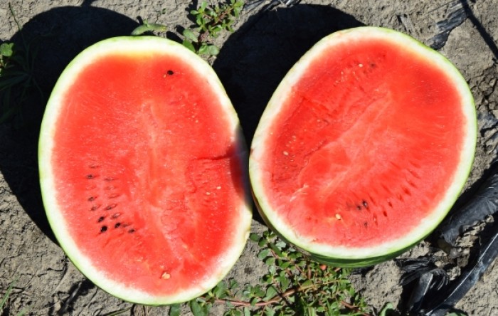 MONITUS AGRO d.o.o.