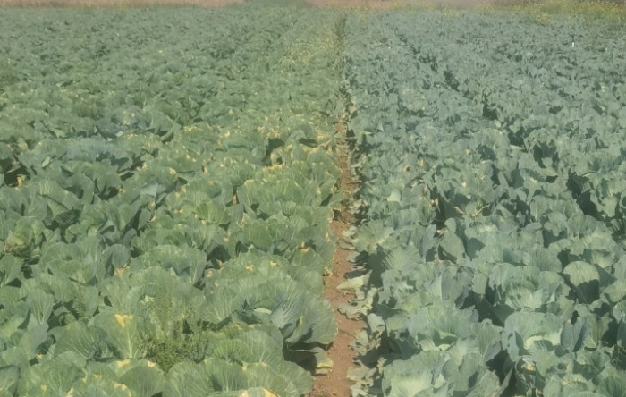 MONITUS AGRO d.o.o.