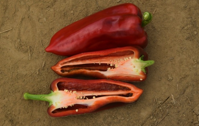 MONITUS AGRO d.o.o.