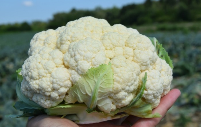MONITUS AGRO d.o.o.
